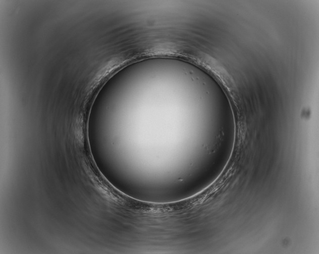 X0000098140345200804171552