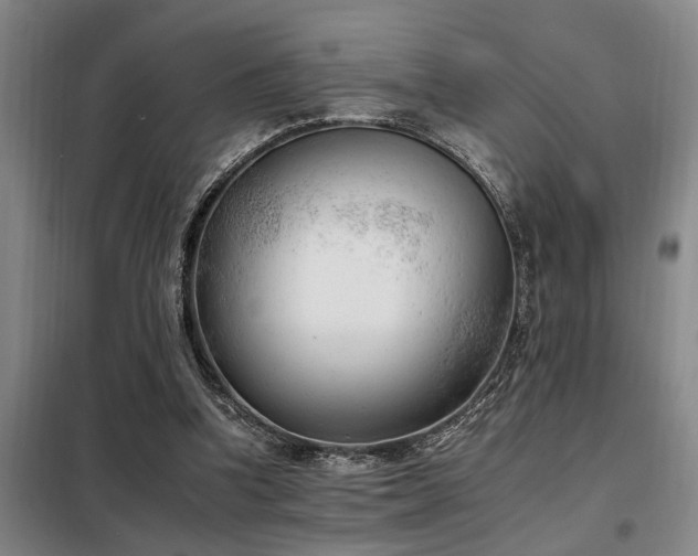 X0000098140346200804171553
