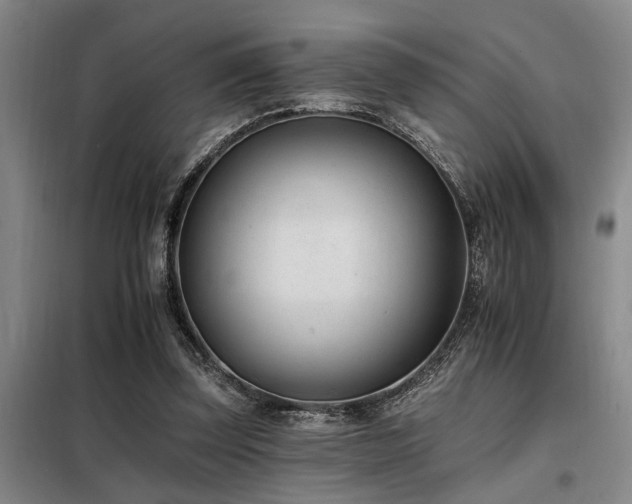 X0000098140347200804171553