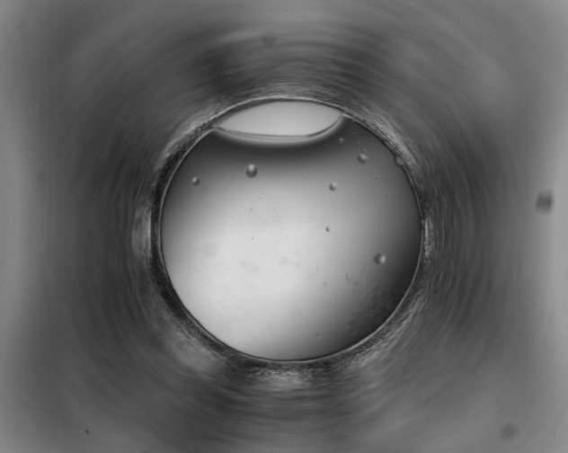 X0000098140349200804171553