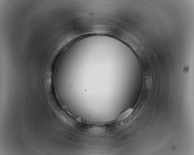 X0000098140350200804171553