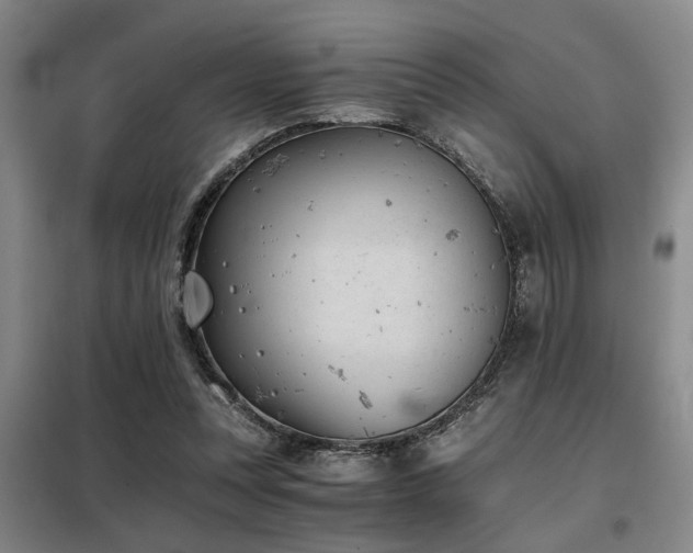 X0000098140351200804171553