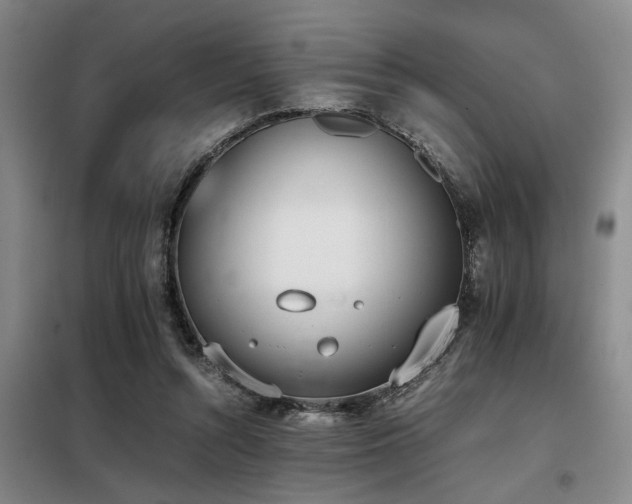 X0000098140352200804171553