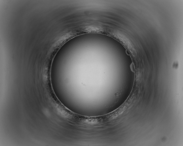 X0000098140353200804171553