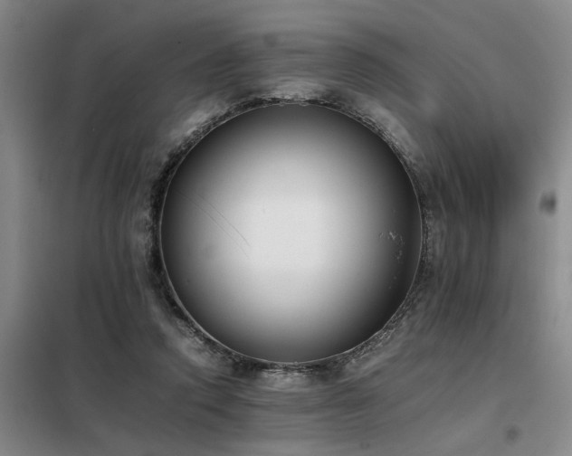 X0000098140354200804171553