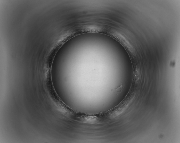 X0000098140355200804171553