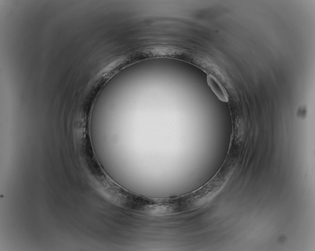 X0000098140356200804171553