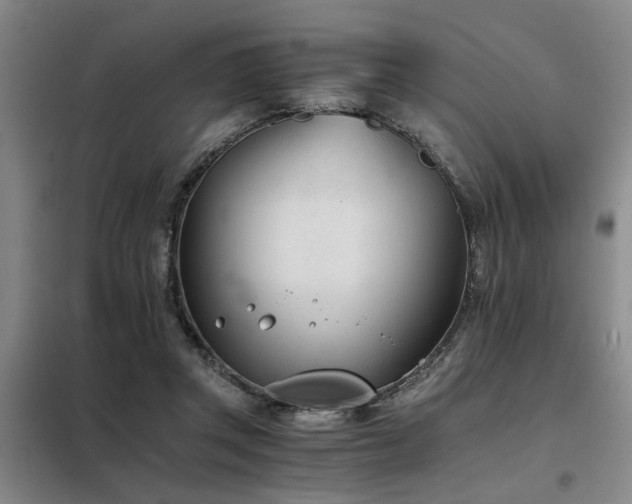 X0000098140357200804171553