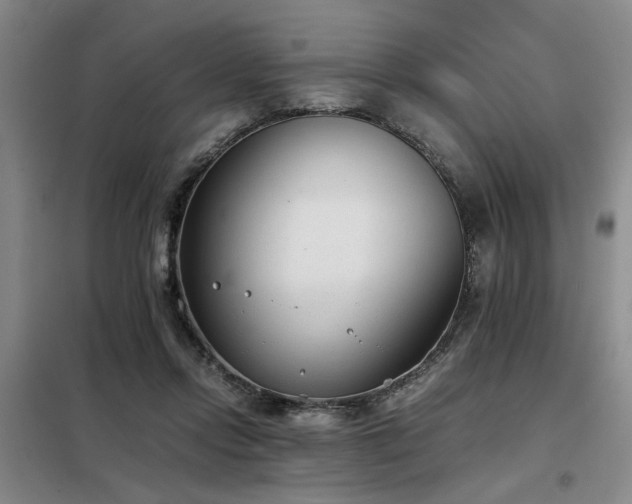 X0000098140358200804171553
