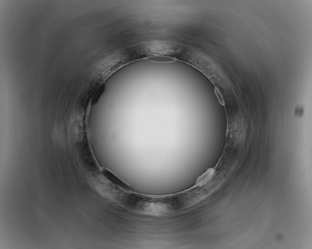 X0000098140360200804171553