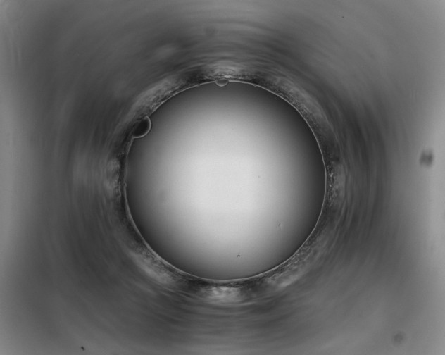 X0000098140361200804171553