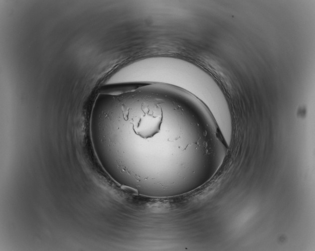 X0000098140362200804171553