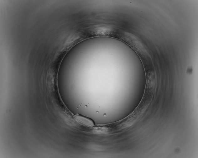 X0000098140363200804171553