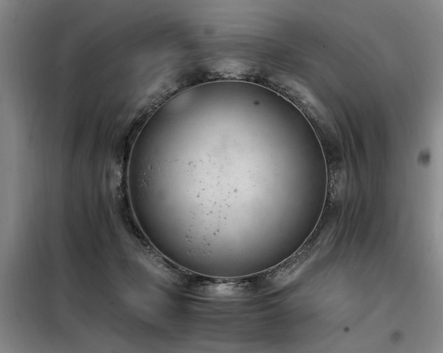 X0000098140365200804171553