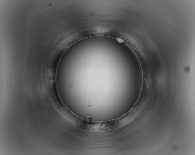 X0000098140366200804171553