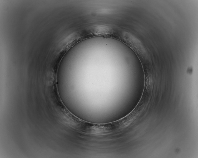 X0000098140367200804171553