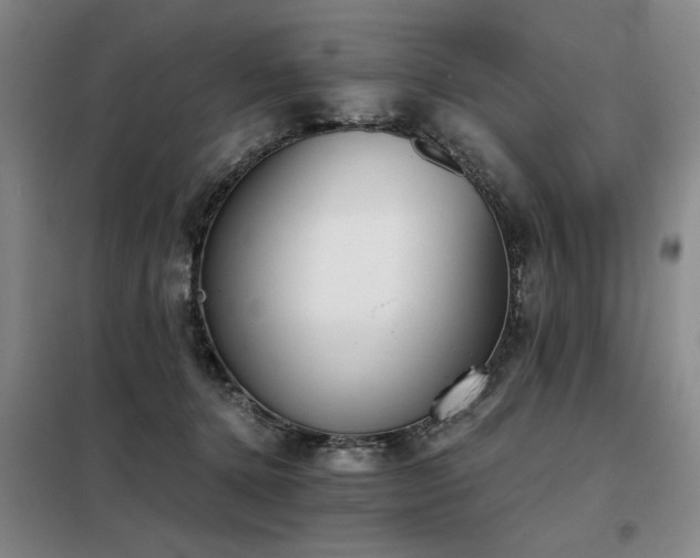 X0000098140368200804171553