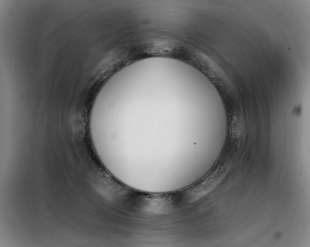 X0000098140370200804171553