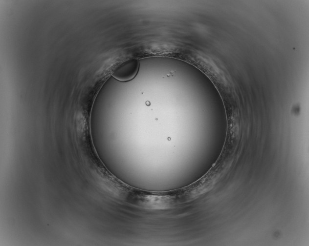 X0000098140371200804171553