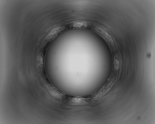 X0000098140375200804171553