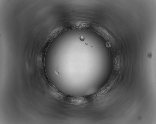 X0000098140377200804171553