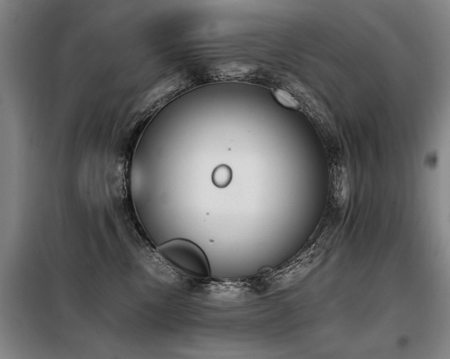 X0000098140378200804171553