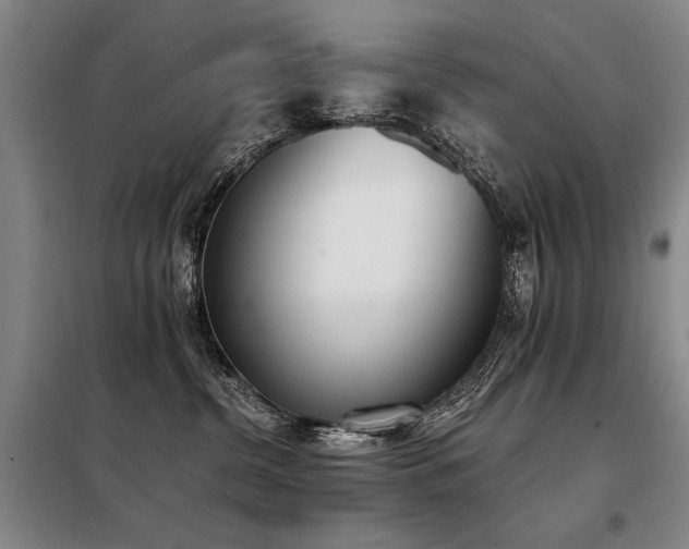 X0000098140380200804171553