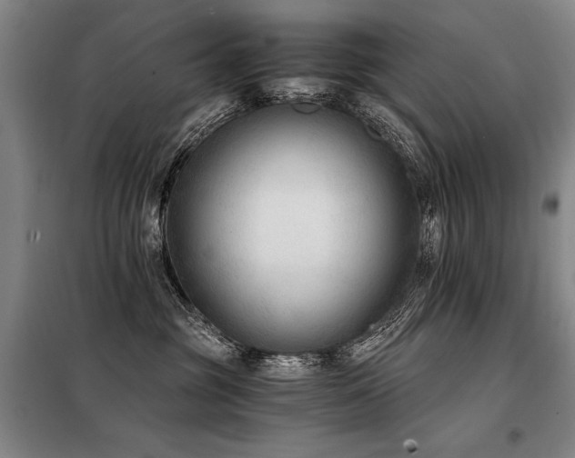 X0000098140381200804171553
