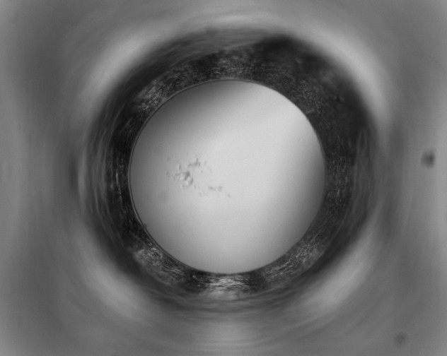 X0000098140382200804171553