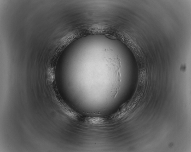 X0000098140383200804171553
