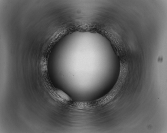 X0000098140384200804171553