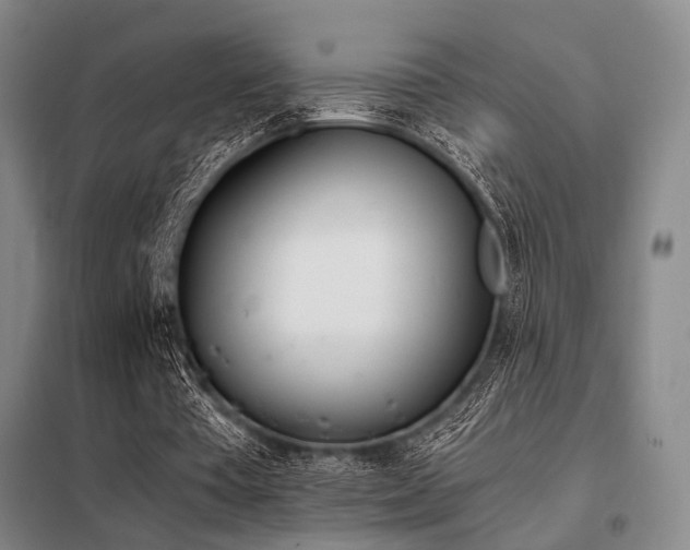 X0000098140385200804171552