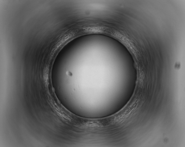 X0000098140386200804171552