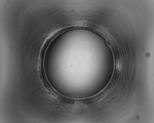 X0000098140388200804171552