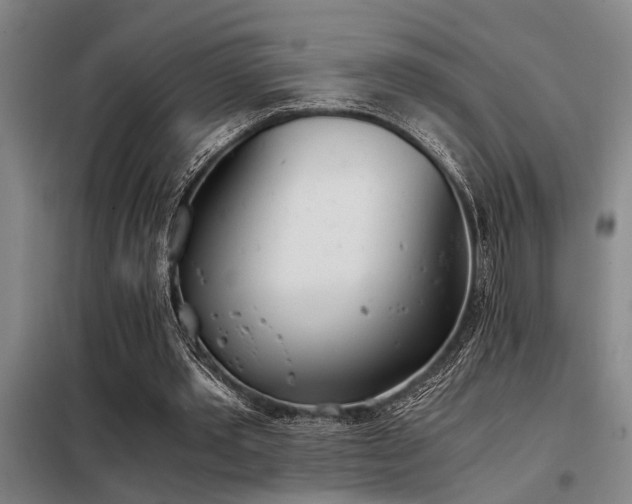 X0000098140389200804171552