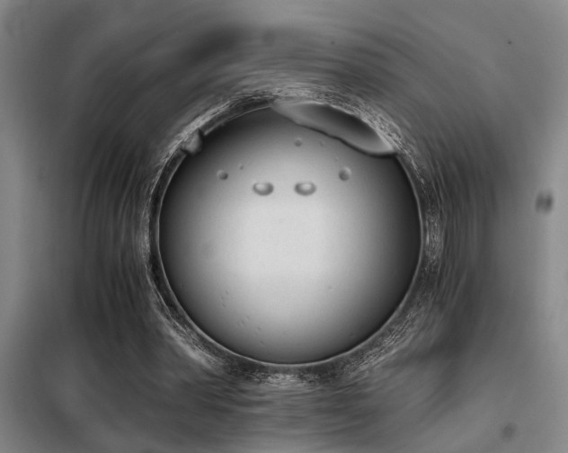 X0000098140390200804171552
