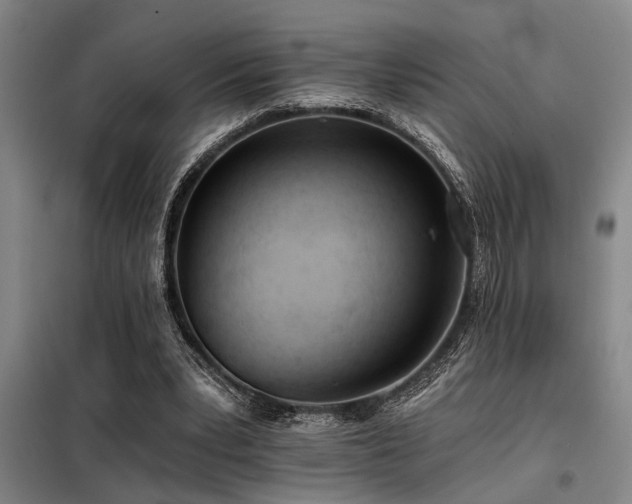 X0000098140391200804171552