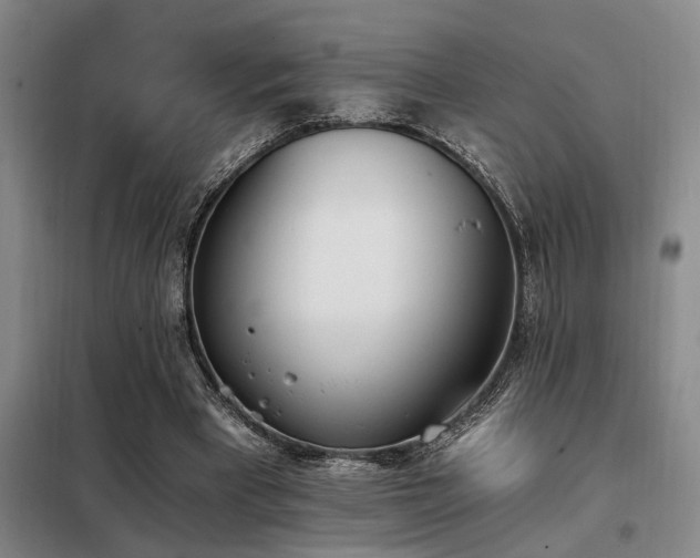 X0000098140393200804171552