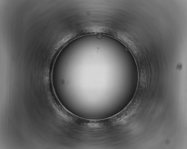 X0000098140394200804171552
