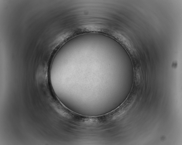 X0000098140398200804171552
