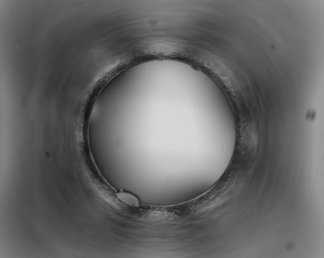 X0000098140399200804171552