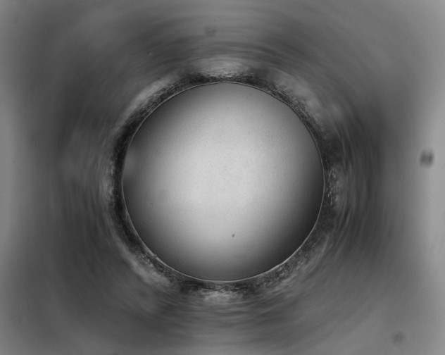 X0000098140400200804171552