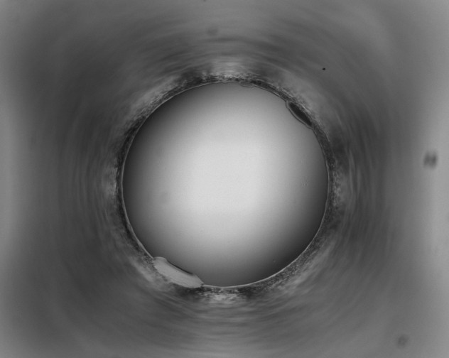 X0000098140401200804171552