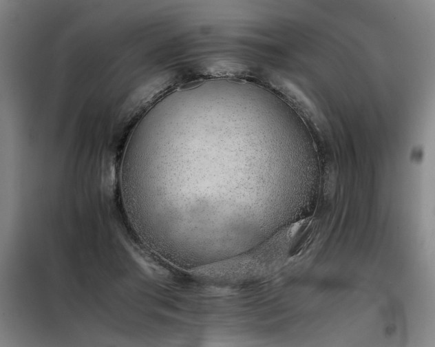 X0000098140405200804171552