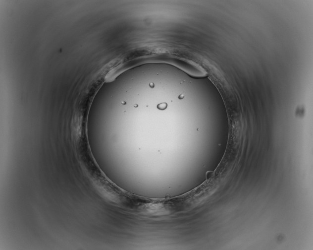 X0000098140406200804171552
