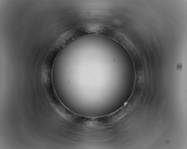 X0000098140408200804171552