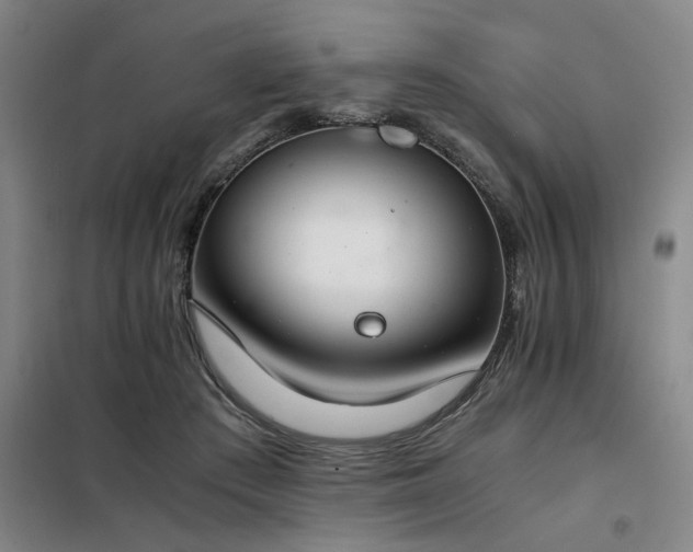 X0000098140409200804171552