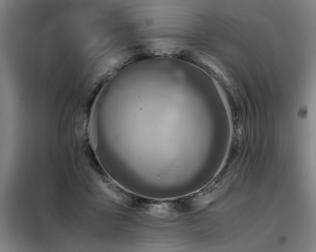 X0000098140411200804171552