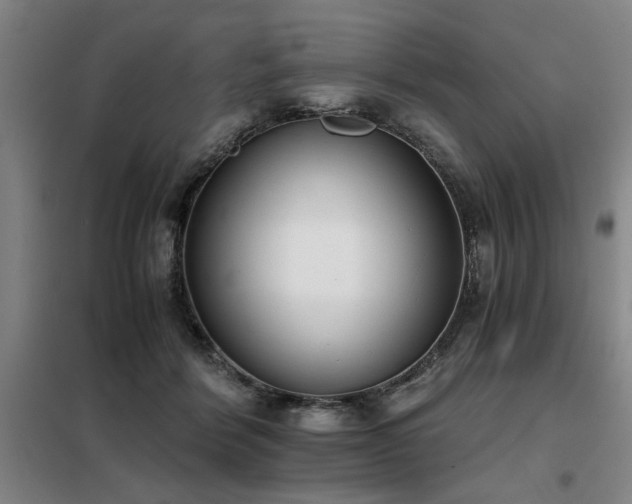 X0000098140412200804171552