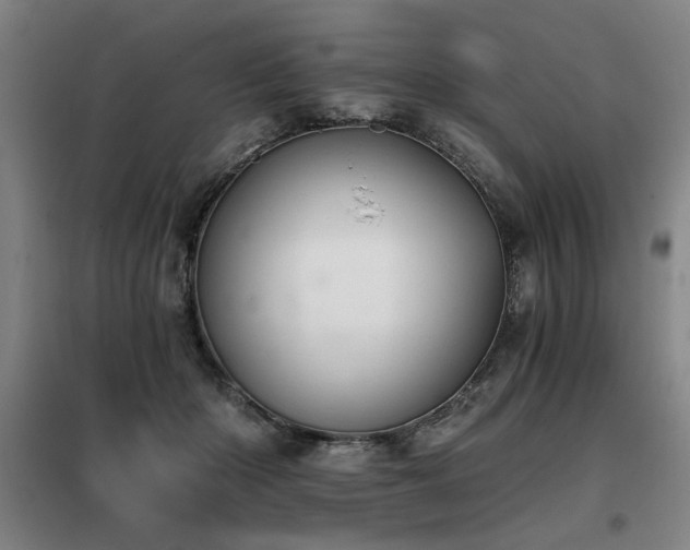 X0000098140414200804171552